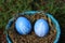 Coloured easter eggs in front of a yarrow field