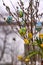 Coloured Easter eggs, willow catkins and narcissus flowers