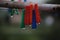 Coloured plastic pegs on a washing line