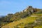 Coloured Vineyards near Duernstein in Autumn