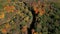 Colourful aerial view of forest at autumn, over colorful fall trees top down shot.