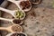 Colourful aromatic various spices for cooking on old wooden board, close-up, flat lay, shallow depth of field.