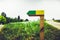 Colourful arrow against green rural background