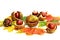 Colourful autumn background with chestnuts, autumn leaves, apple and hazelnuts