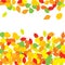 Colourful Autumn Leaves Pattern on White Background