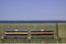 Colourful benches on the seafront at New Brighton UK