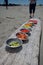 Colourful bowls of vegetables lined up on a log for lunch on a kayak trip to the Brookes Peninsula, Vancouver Island