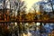 Colourful broad leaf  trees reflected on water surface at autumn / fall daylight