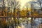 Colourful broad leaf  trees reflected on water surface at autumn / fall daylight