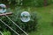 A colourful bubble flying in the air above garden and trying fly away. Bubble was created bubble blower in my hand