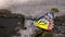 Colourful butterfly landed on surface