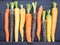 Colourful carrot varieties