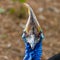 colourful Cassowary Casuaris with large red eyes and big horn on the head Sydney NSW Australia