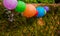 Colourful Chinese Lanterns hanging in a garden party or outdoor