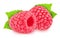 Colourful composition with fresh raspberry with leaves isolated on a white background with clipping path.