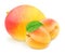 Colourful composition with fruit mix - apricot and mango isolated on a white background with clipping path.