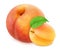 Colourful composition with fruit mix - peach and apricot  on a white background with clipping path.