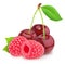 Colourful composition with garden berries - raspberry and cherry, isolated on a white background with clipping path.