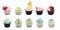 Colourful cupcakes with different modern decoration