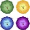 Colourful dead corona virus