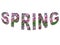 Colourful design word spring season font stock vector decorative element in green and pink on white background.