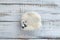 Colourful digital newborn background with panda