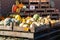 Colourful display of pumpkins on wooden crates