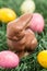 Colourful easter eggs with chocolate bunny