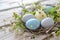 Colourful easter eggs holiday celebration painted handmade food festive seasonal event tradition symbol jesus