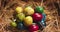 Colourful Easter quail eggs on hay, religious christian holiday, close up video
