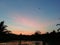 Colourful evining sky with paddy field and water