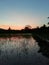 Colourful evining sky with paddy field and water