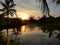 Colourful evining sky with paddy field and water