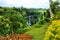 Colourful exotic garden with native vegetation and plants of Oceania, Samoa, Upolu Island