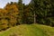 Colourful fall hike to the Kreuzleshöhe in Allgäu near Leutkirch and Isny