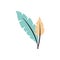 Colourful feathers isolated icon
