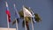 Colourful flags swaying against a blue sky, Many flags sway in the wind