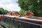 Colourful floral plant pots seen on a private canal boat on a famous English inland waterway.