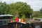 Colourful floral plant pots seen on a private canal boat on a famous English inland waterway.