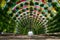 The colourful floral and umbrella arch at the Corniche Station. Doha, Qatar