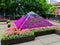 Colourful Flower Display on Pyramid Shape, Sydney, Australia