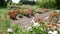 Colourful Flowerbeds with many roses