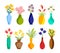 Colourful Flowers and plants in Vases. Vector Illustration