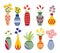 Colourful Flowers and plants in Vases. Vector Illustration