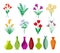 Colourful Flowers and plants in Vases. Vector Illustration