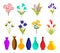 Colourful Flowers and plants in Vases. Vector Illustration