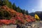 Colourful forest of Korankei in Japan