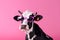 colourful funny face character sunglasses cow head portrait animal cute. Generative AI.