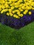 Colourful Garden Flower Bed