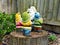 Colourful Garden Gnomes Standing on a Tree Stump